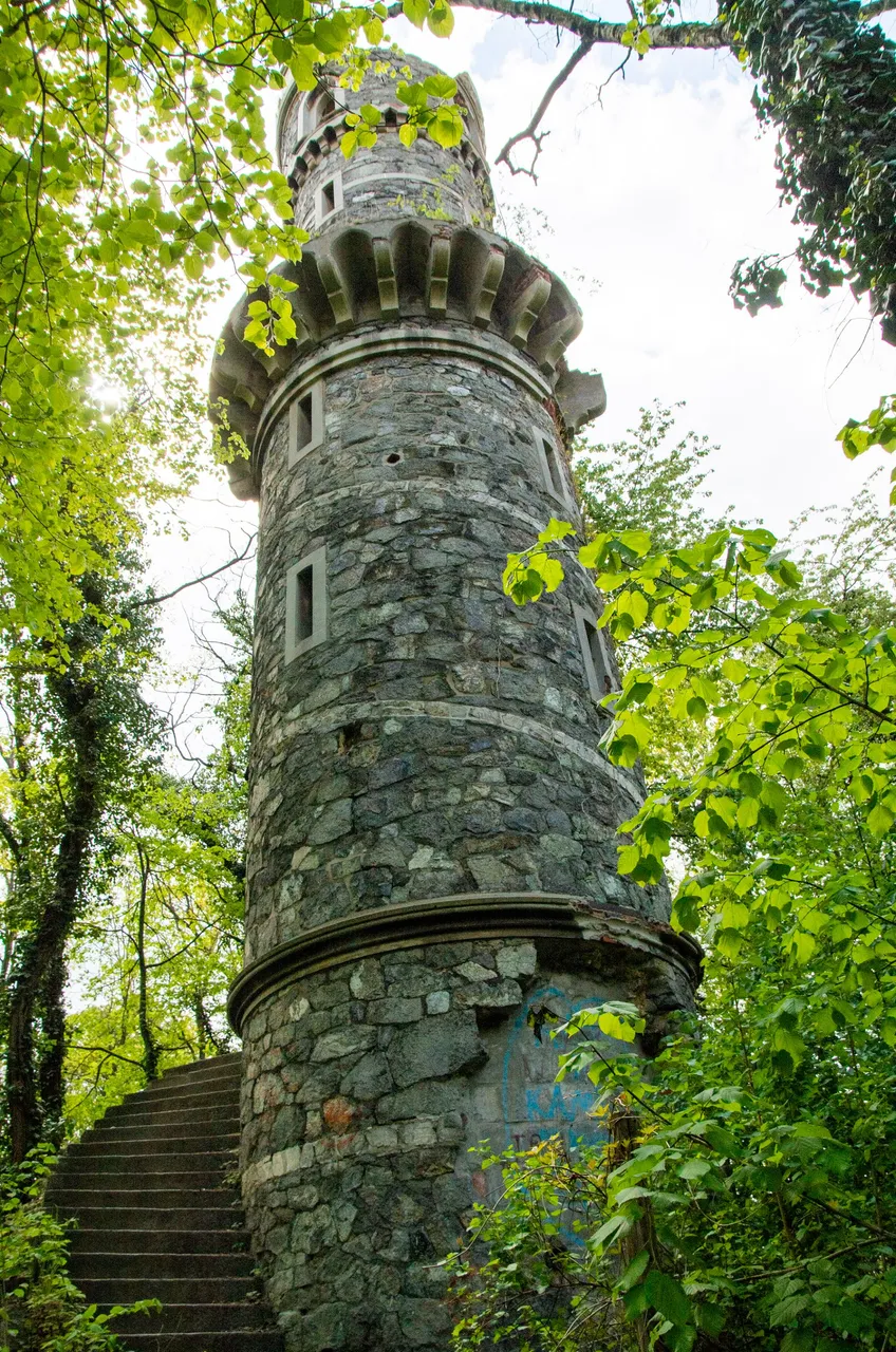 IMGP2179c.jpg
