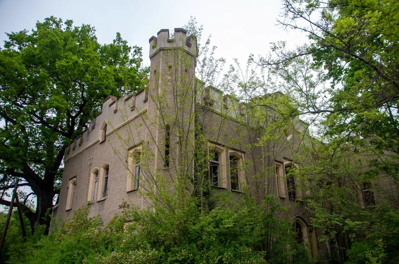 IMGP6294c.jpg