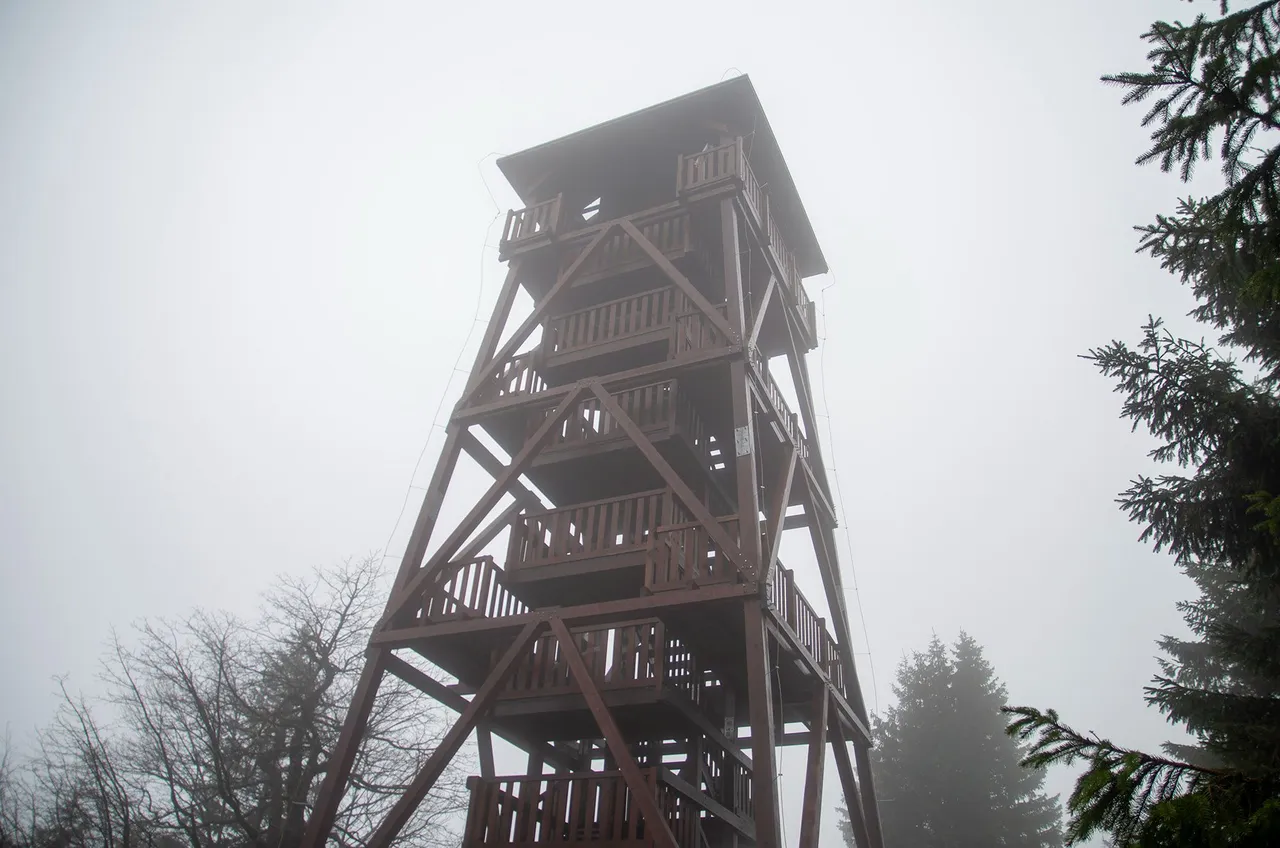 IMGP5572c.jpg