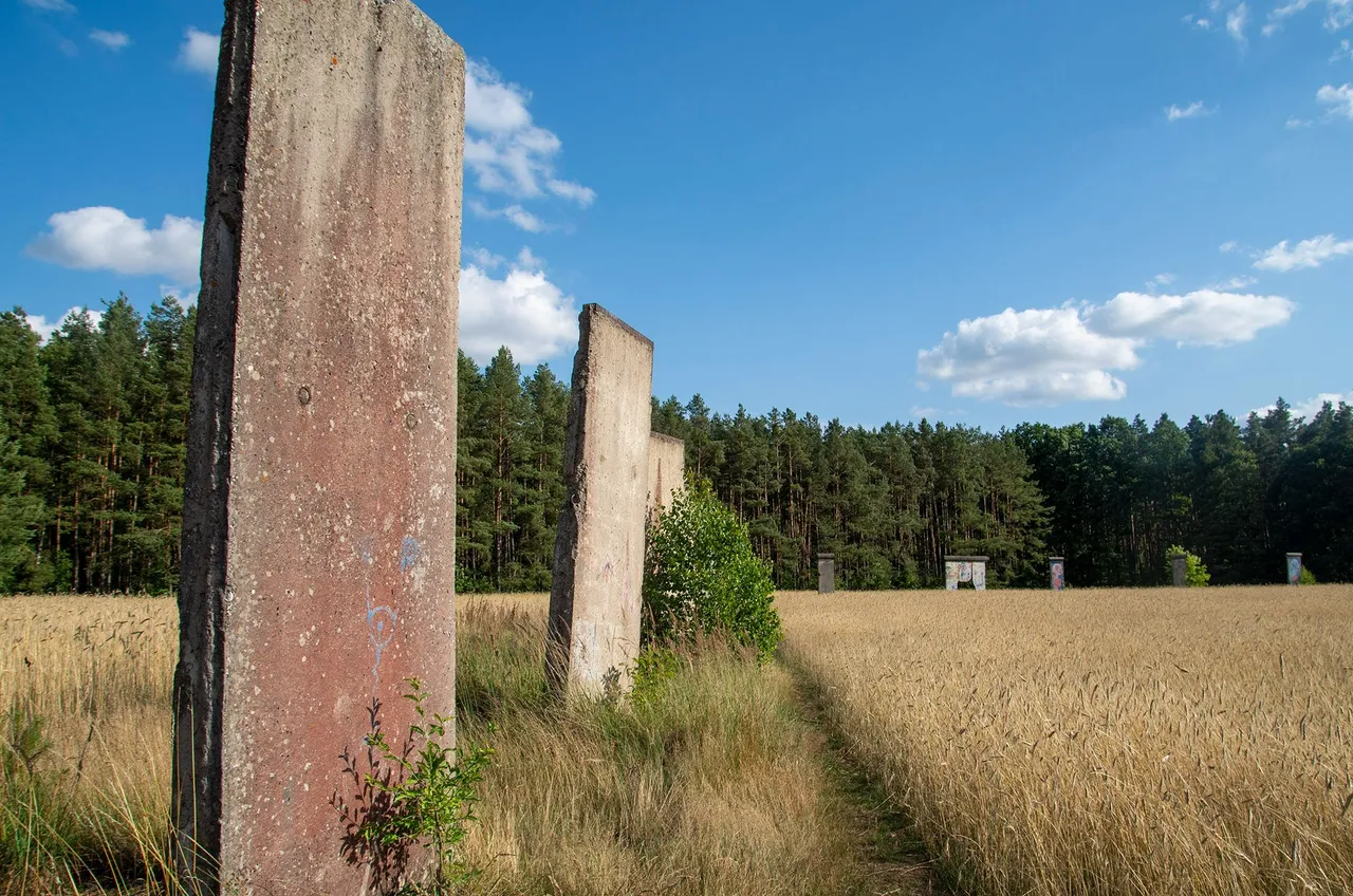 IMGP8875c.jpg