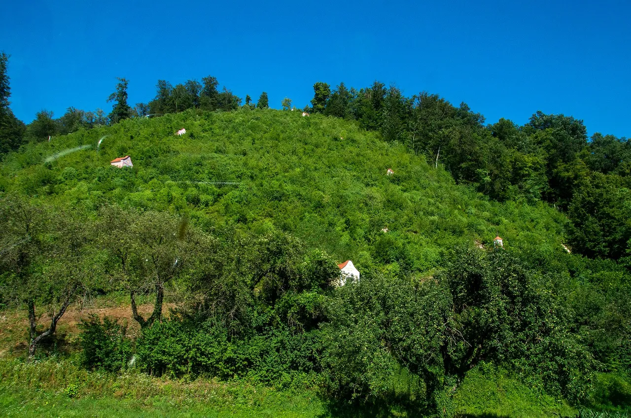 IMGP3455c.jpg
