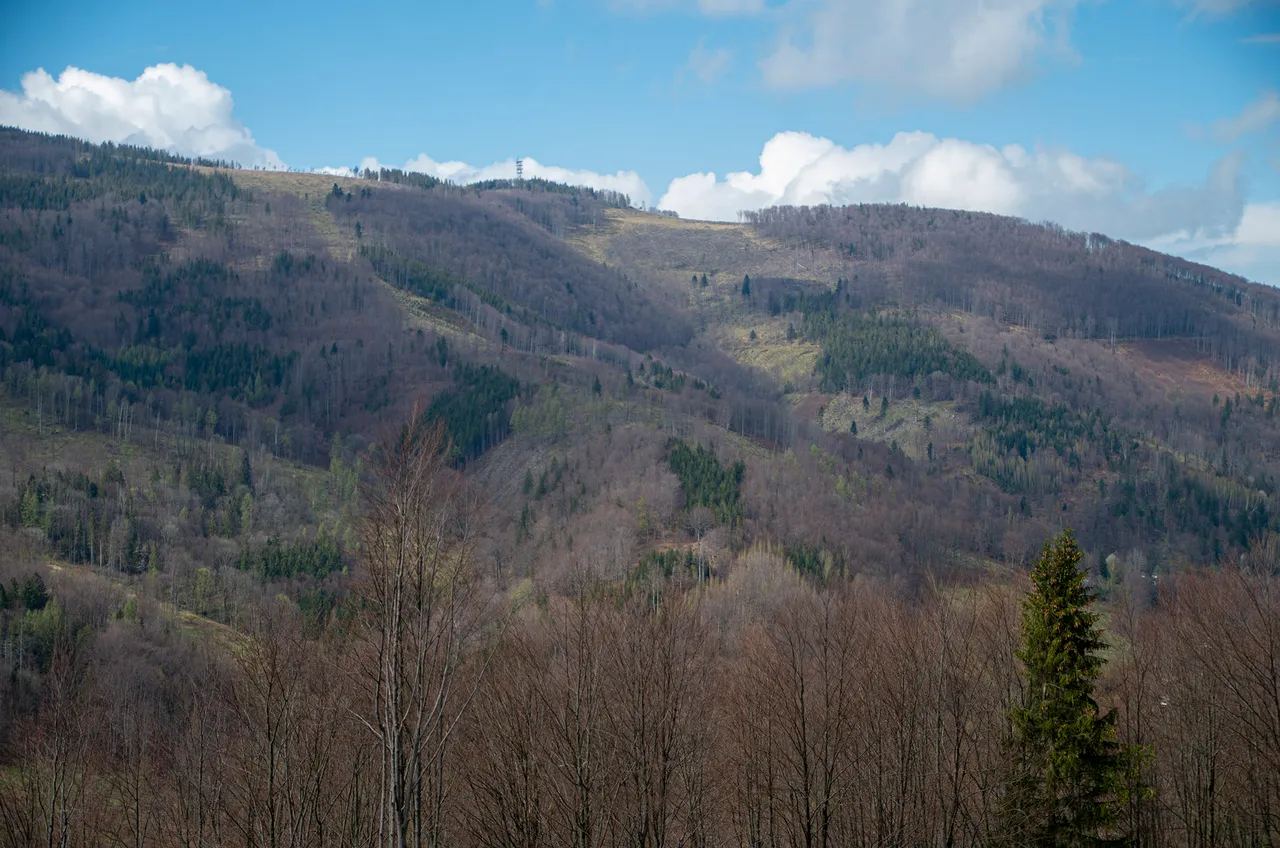 IMGP5739c.jpg