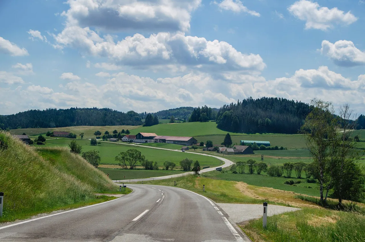 IMGP2534c.jpg