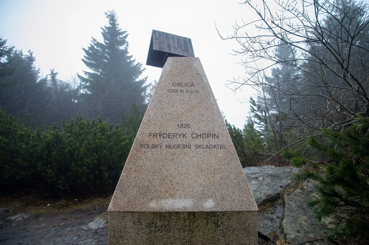 IMGP5571c.jpg