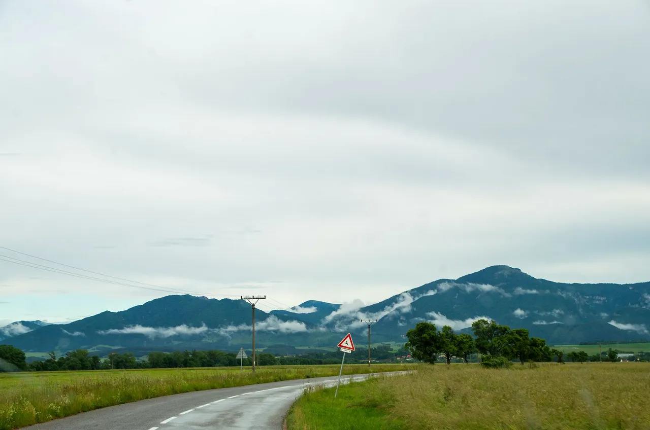 IMGP6495c.jpg