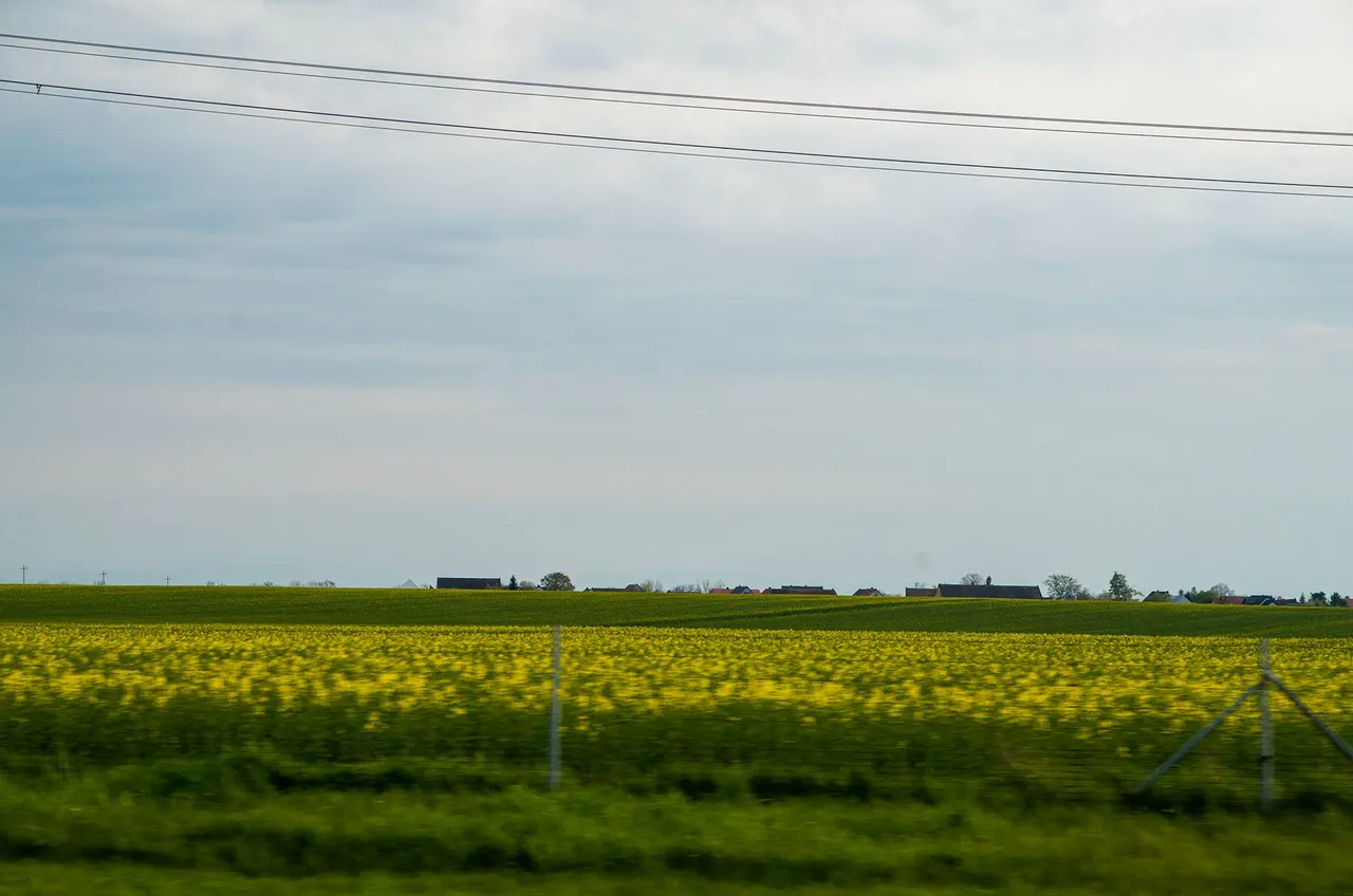 IMGP5721c.jpg