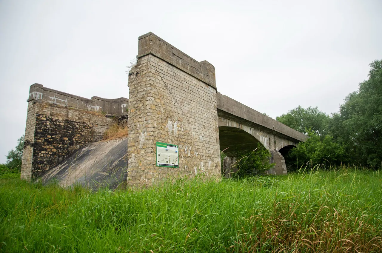 IMGP8736c.jpg
