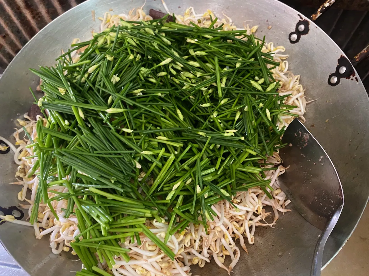 Garlic chives stirring with bean spouts