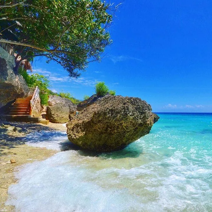 Imageintheworld - Who wants to spend a day in this serene place_ The resort is called Cancuaay Private Beach in Oslob and we spent a day here for only Php100_  [Cebu, Philippines] _ Facebook.jpeg