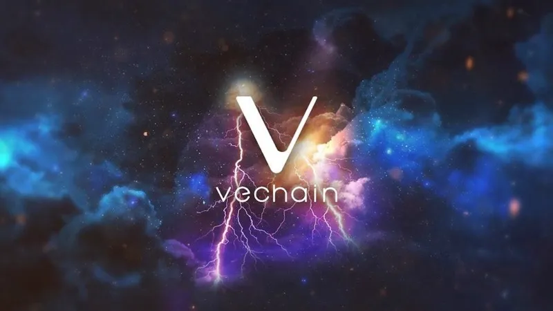 vechain1 copy.jpg