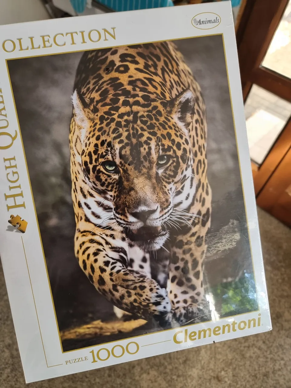 20230904_180701.jpg