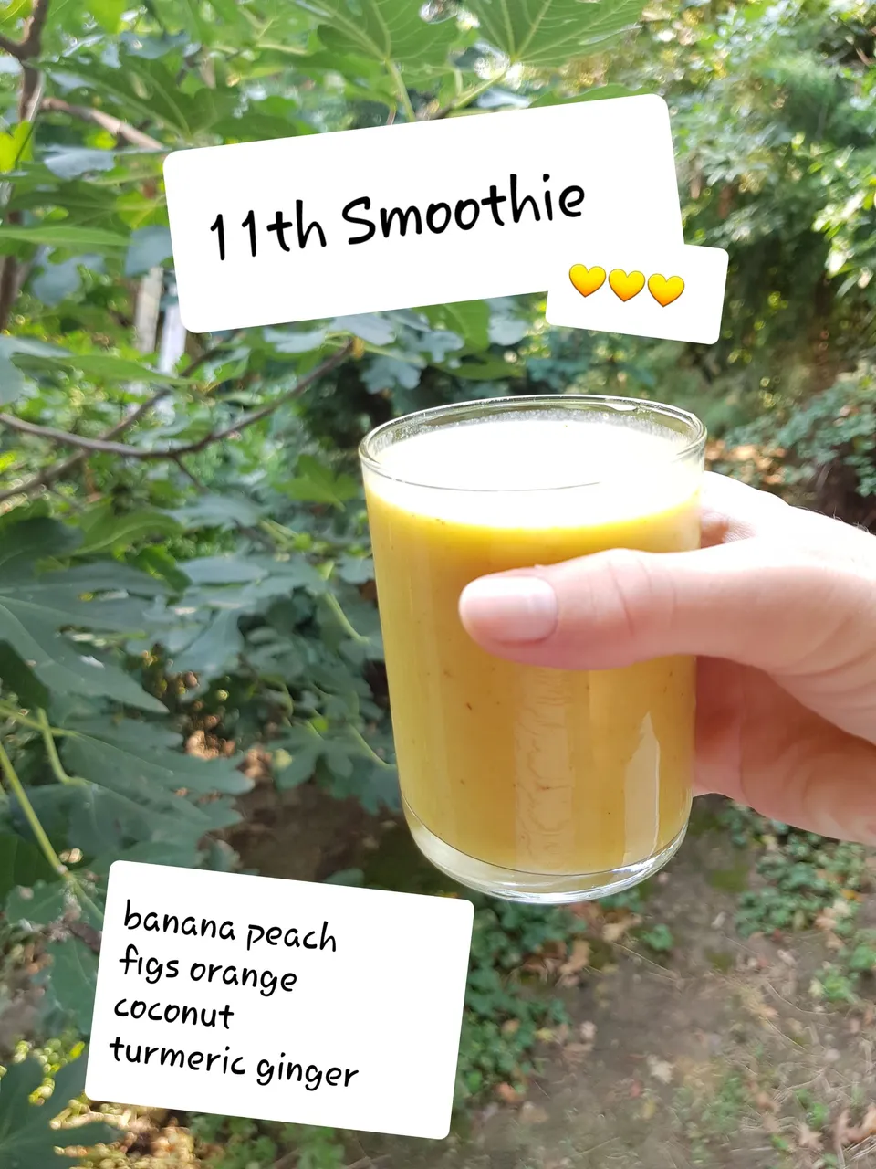 14 days smoothiec challenge (14).jpg