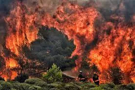 Atenas abatida por el incendio forestal.prexels4.jpg