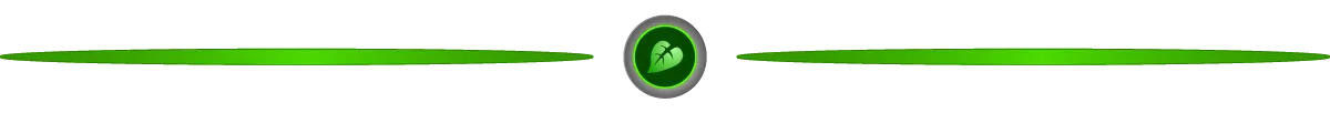 divider_earth.png