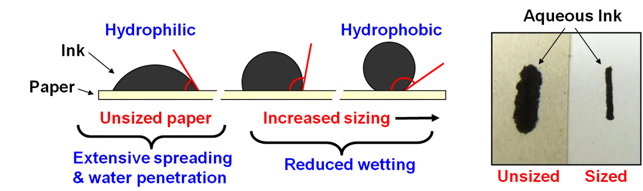 sizing.png