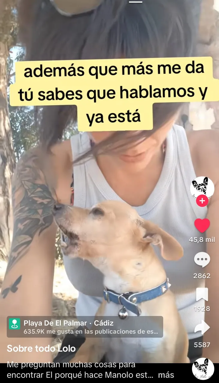 Screenshot_2025-05-05-15-21-51-371_com.zhiliaoapp.musically~2.jpg