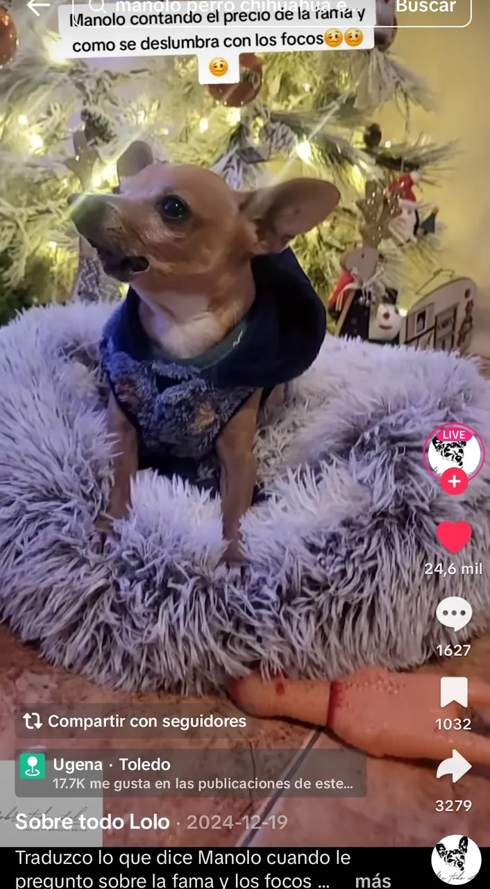 Screenshot_2025-05-05-16-01-39-524_com.zhiliaoapp.musically~2.jpg
