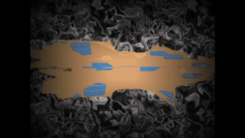 download (1).gif