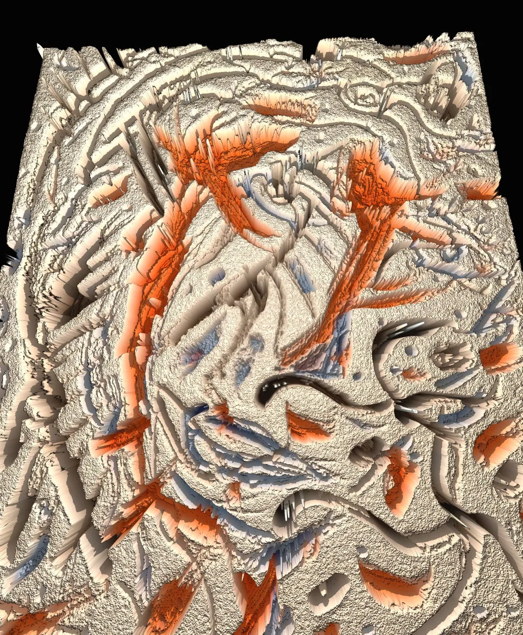 1000293799.jpg