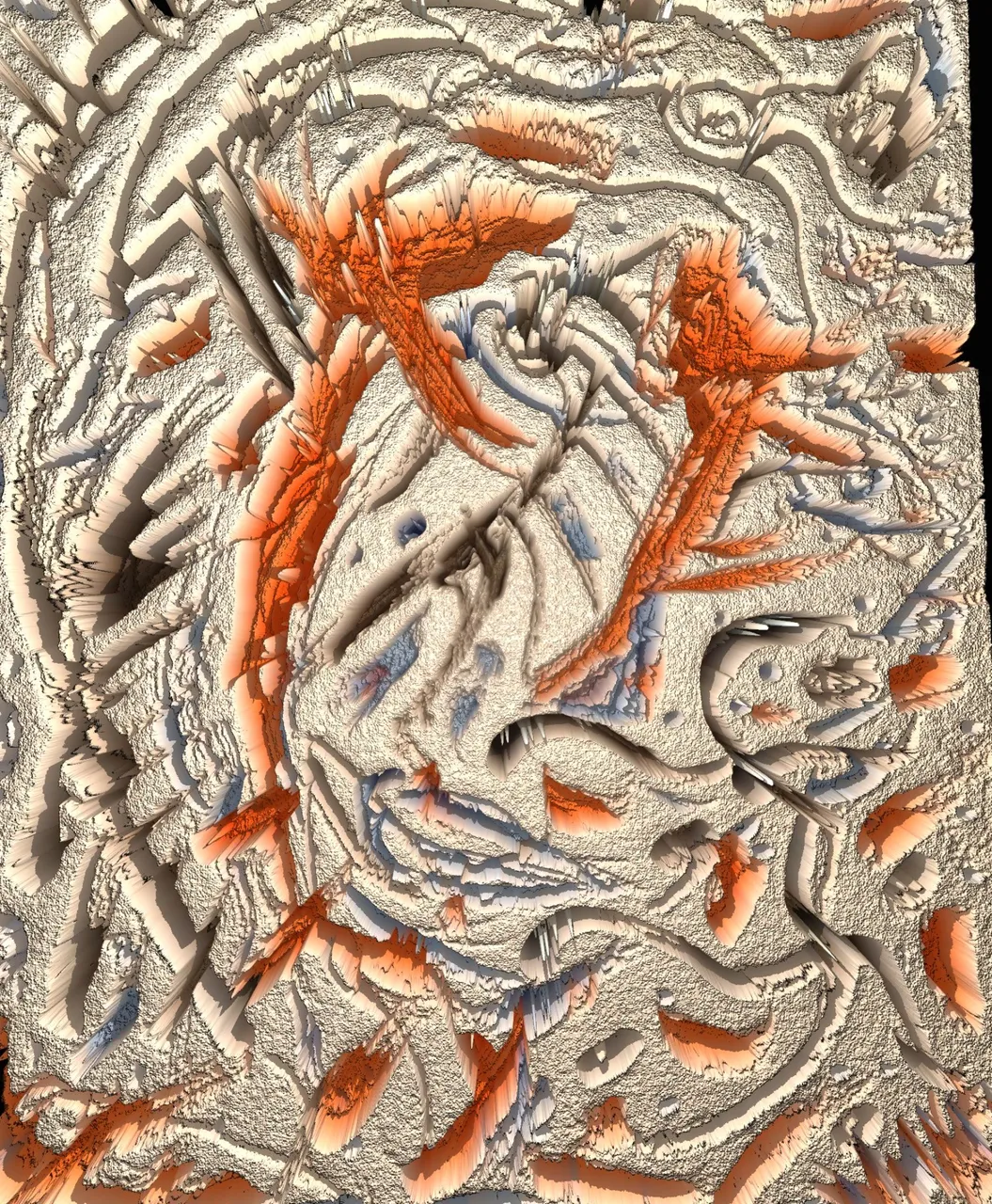 1000293794.jpg