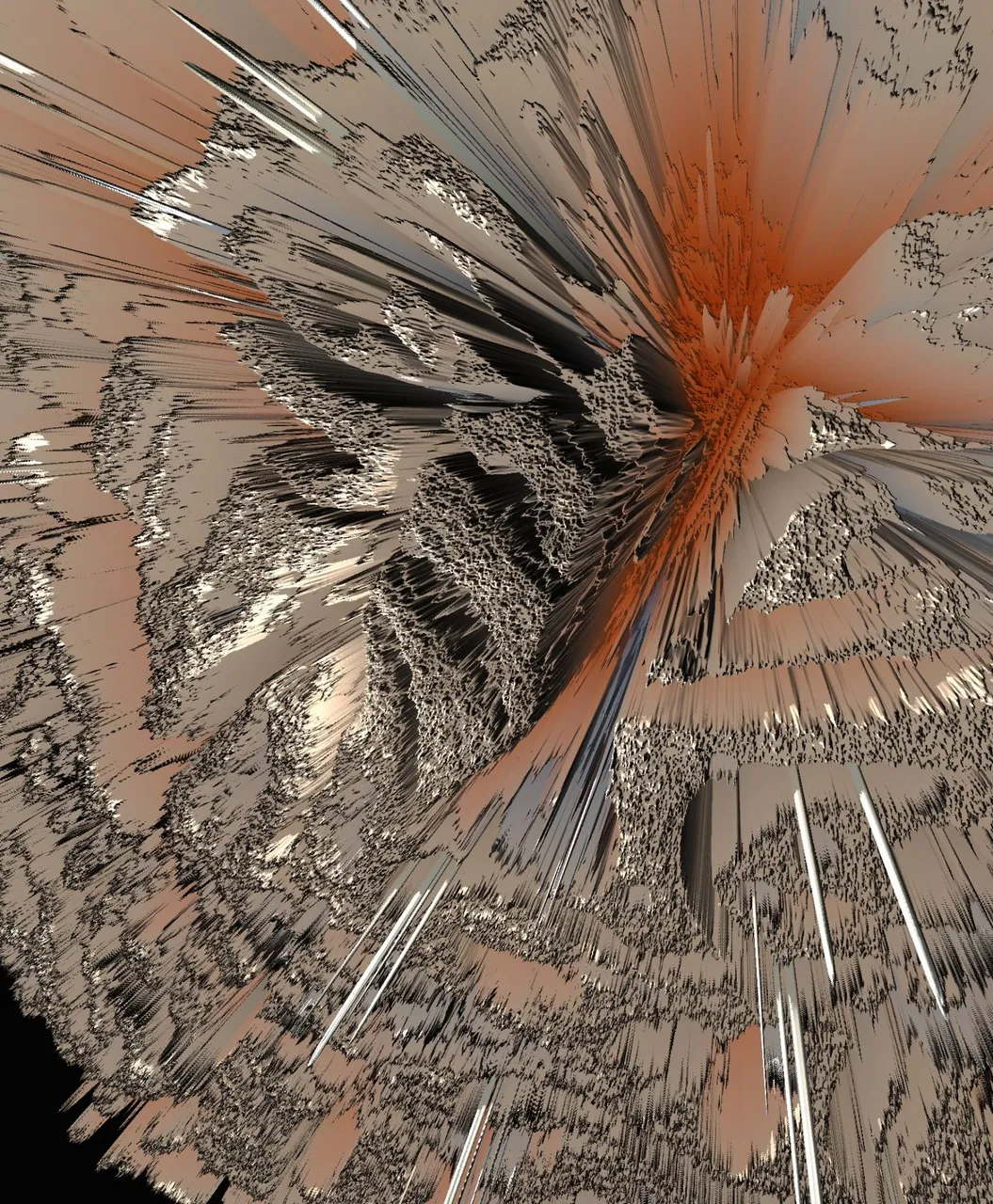 1000293803.jpg