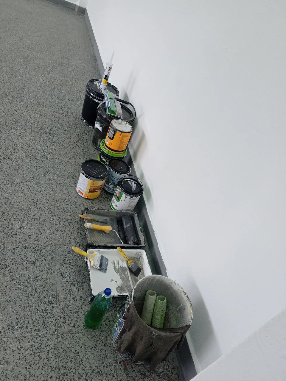 IMG_20240405_120004_121 (Copy).jpg