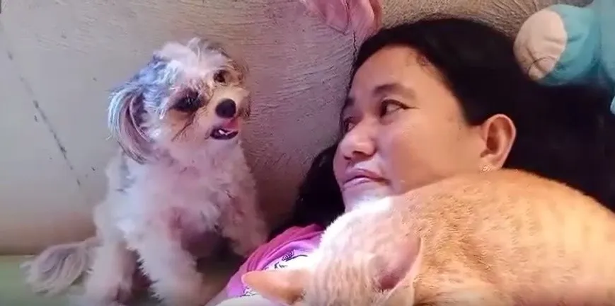 bebe.stare.peakd.f.jpg