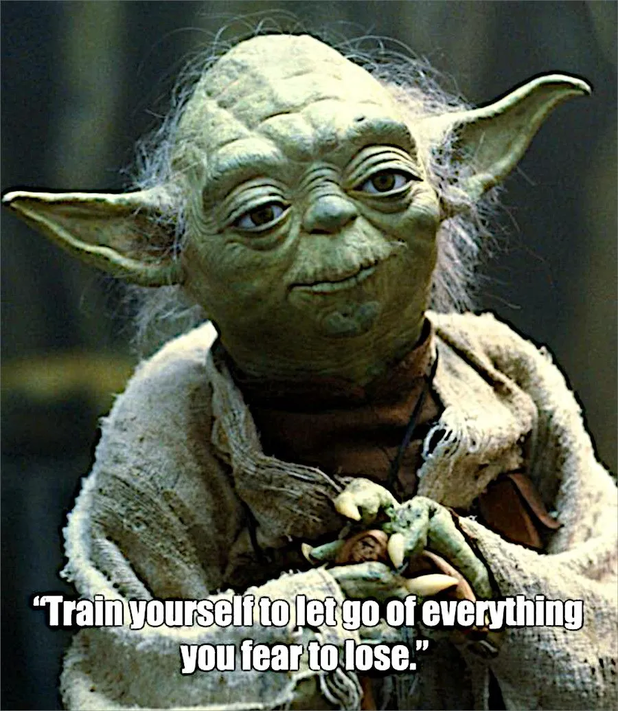 yoda.jpg