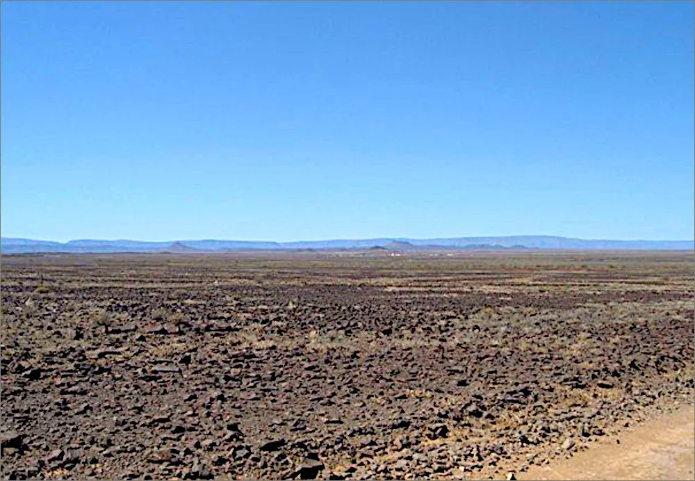 22076_270887667145_3568659_n_270887667145.jpg