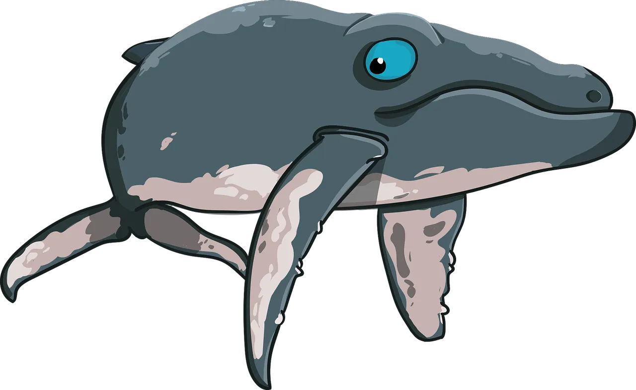 Whale.webp