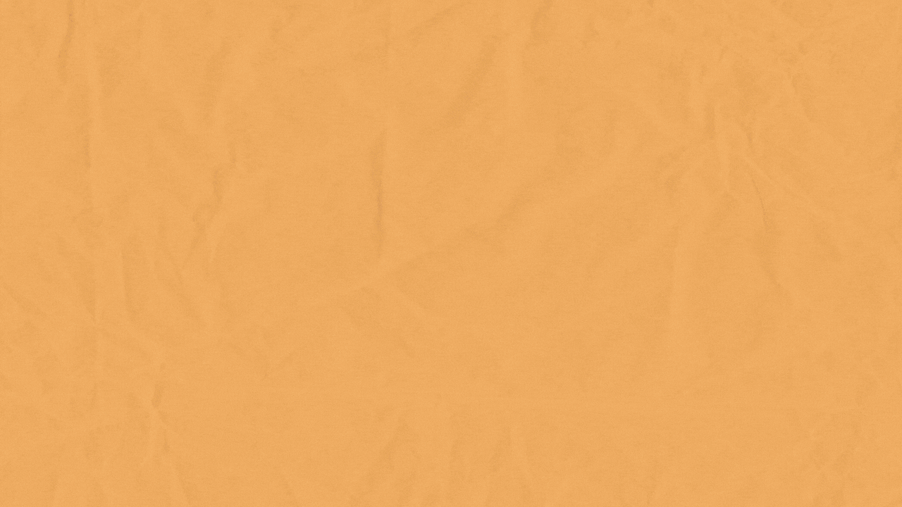 6358955.gif
