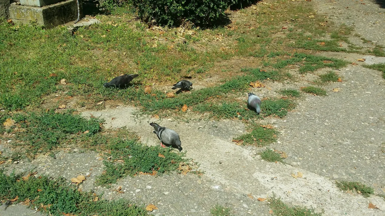 20180829_123559.jpg