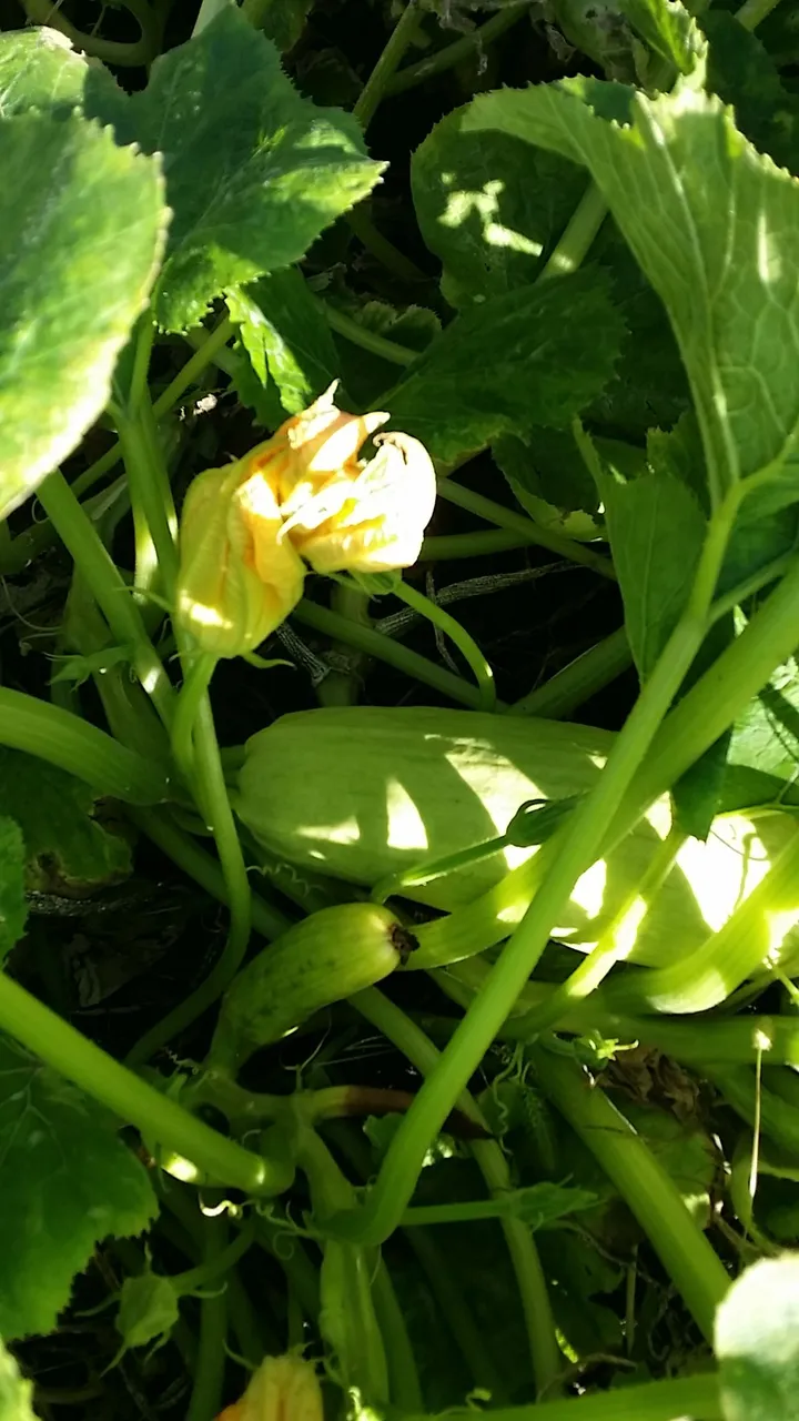 20220928_160651.jpg