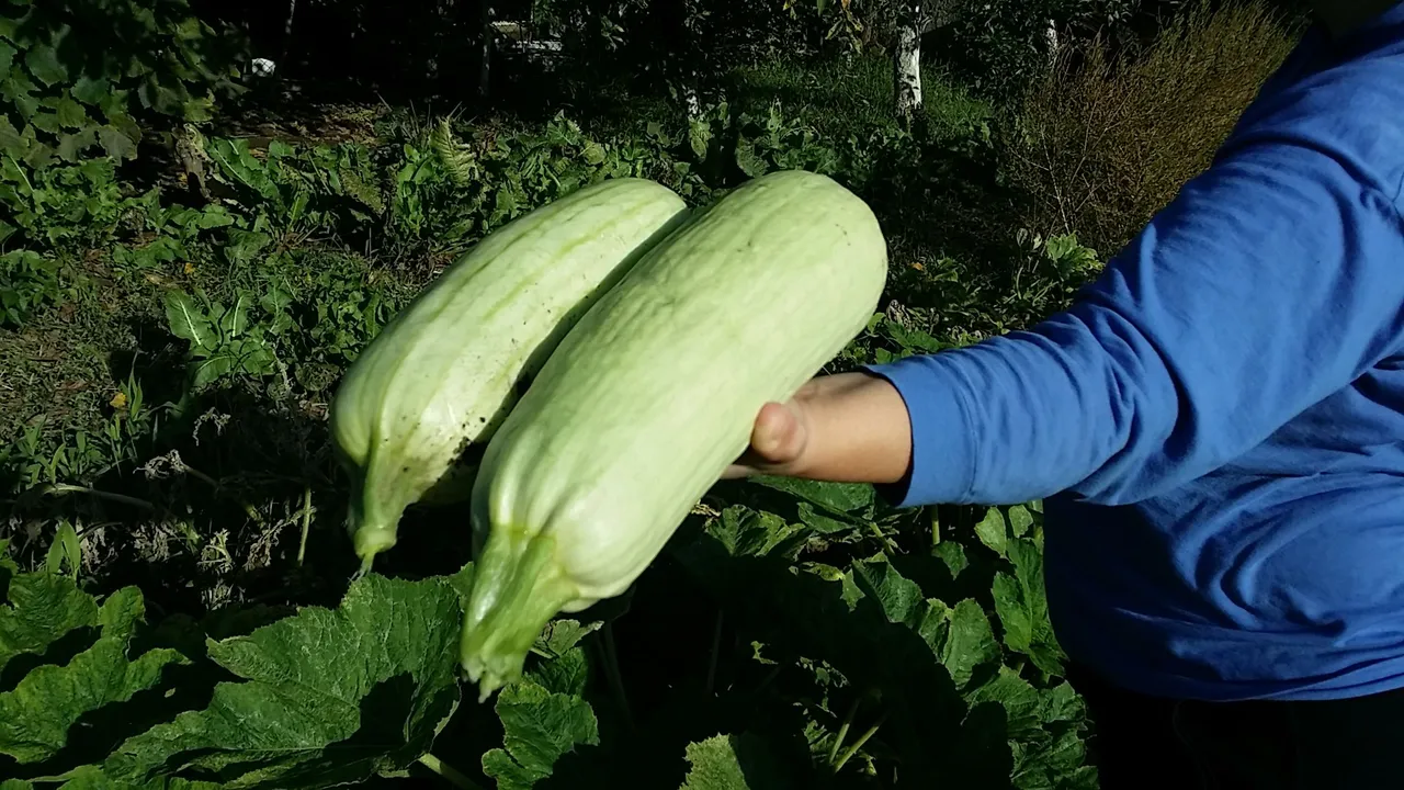 20220928_161105.jpg