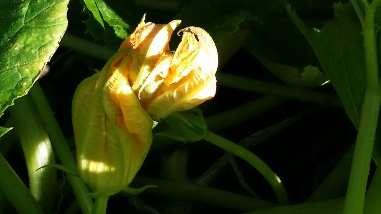 20220928_160658.jpg