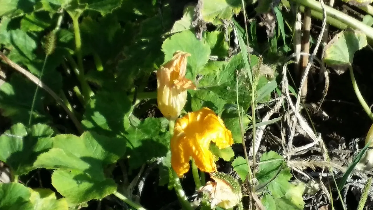 20220928_160758.jpg