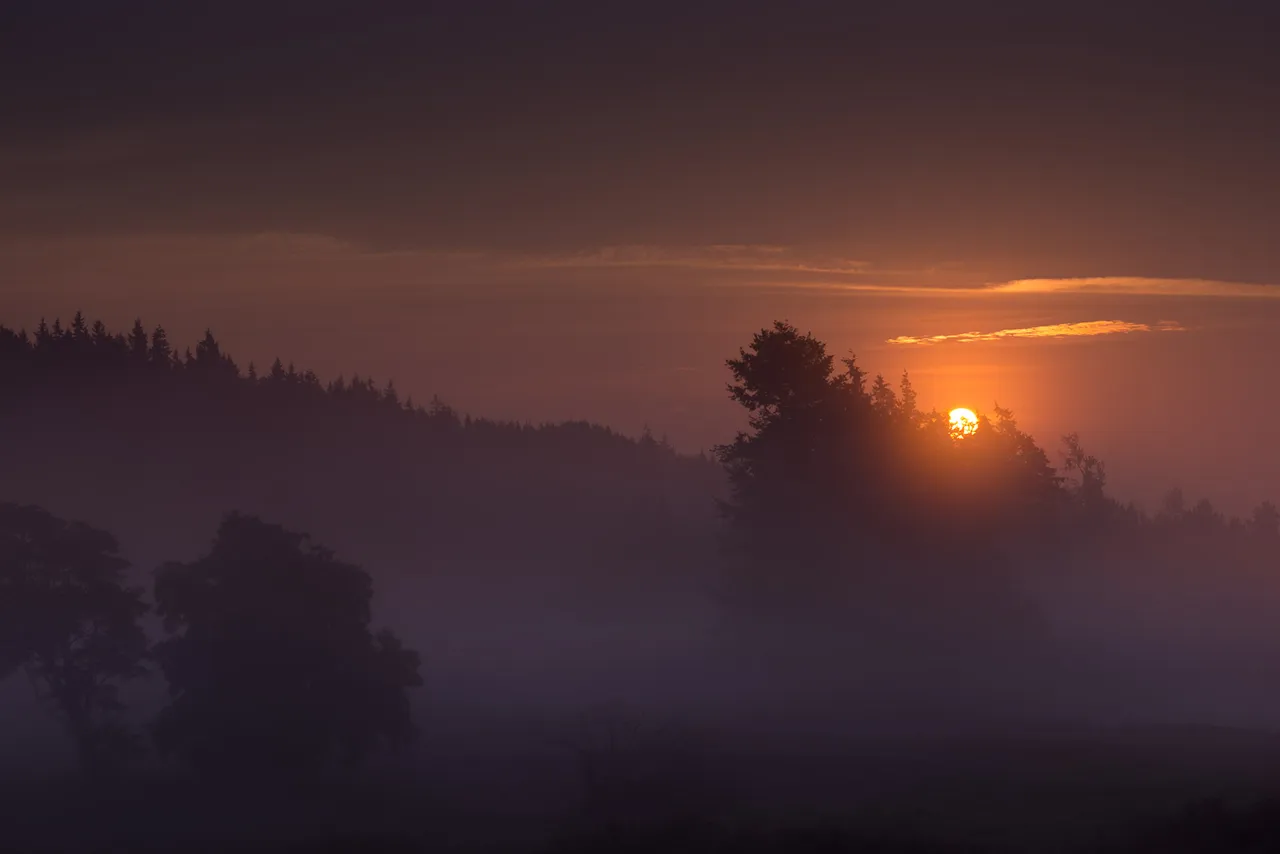 20140825-563.jpg