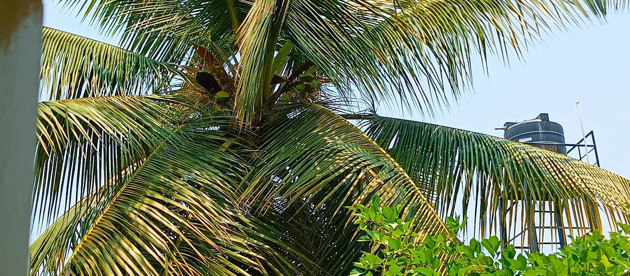 IMG_20250417_115604_177.jpg