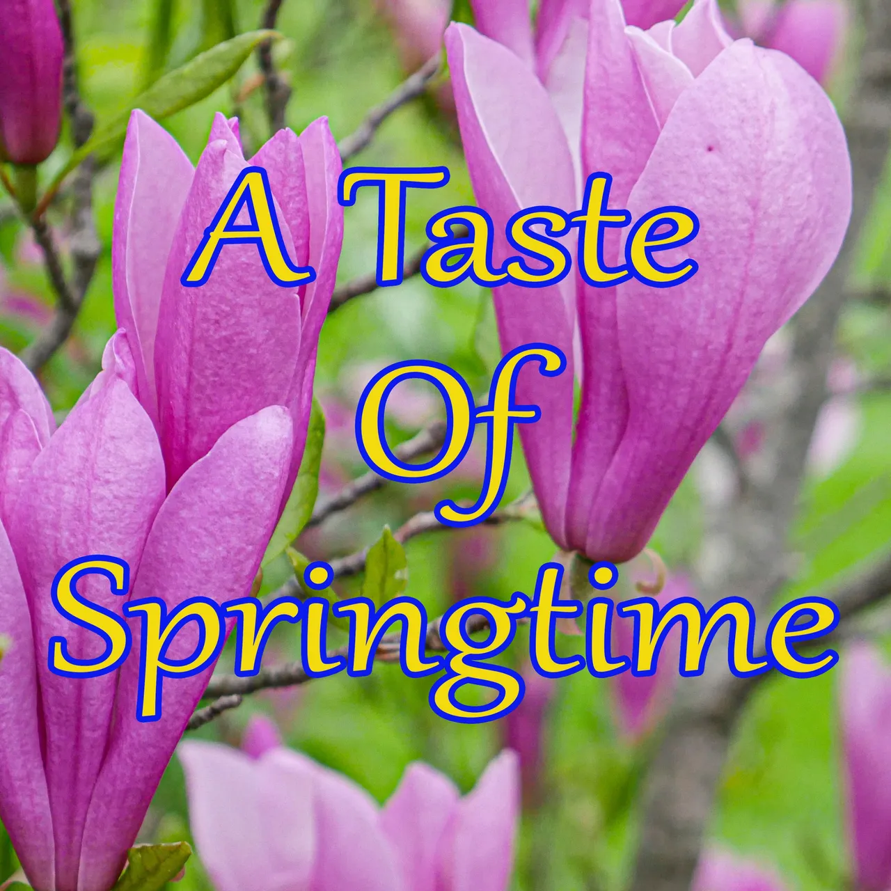 A Taste of Springtime.jpg