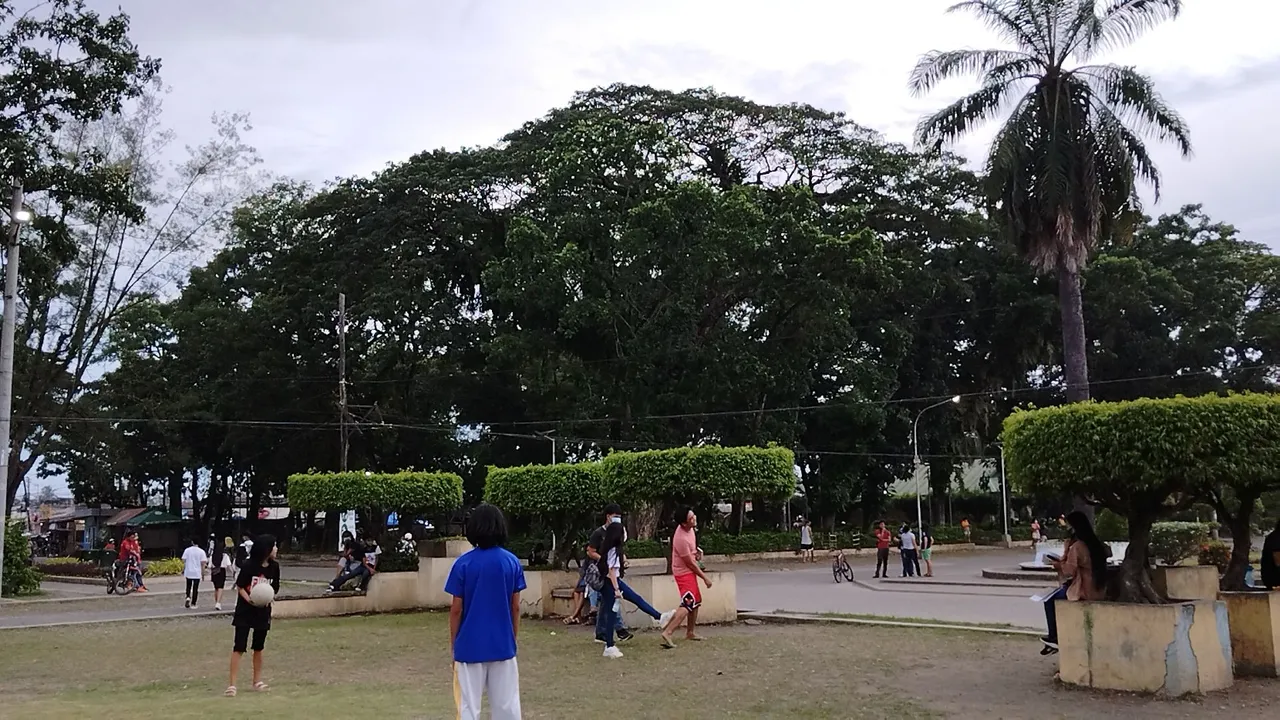 IMG_20220627_171814_1.jpg