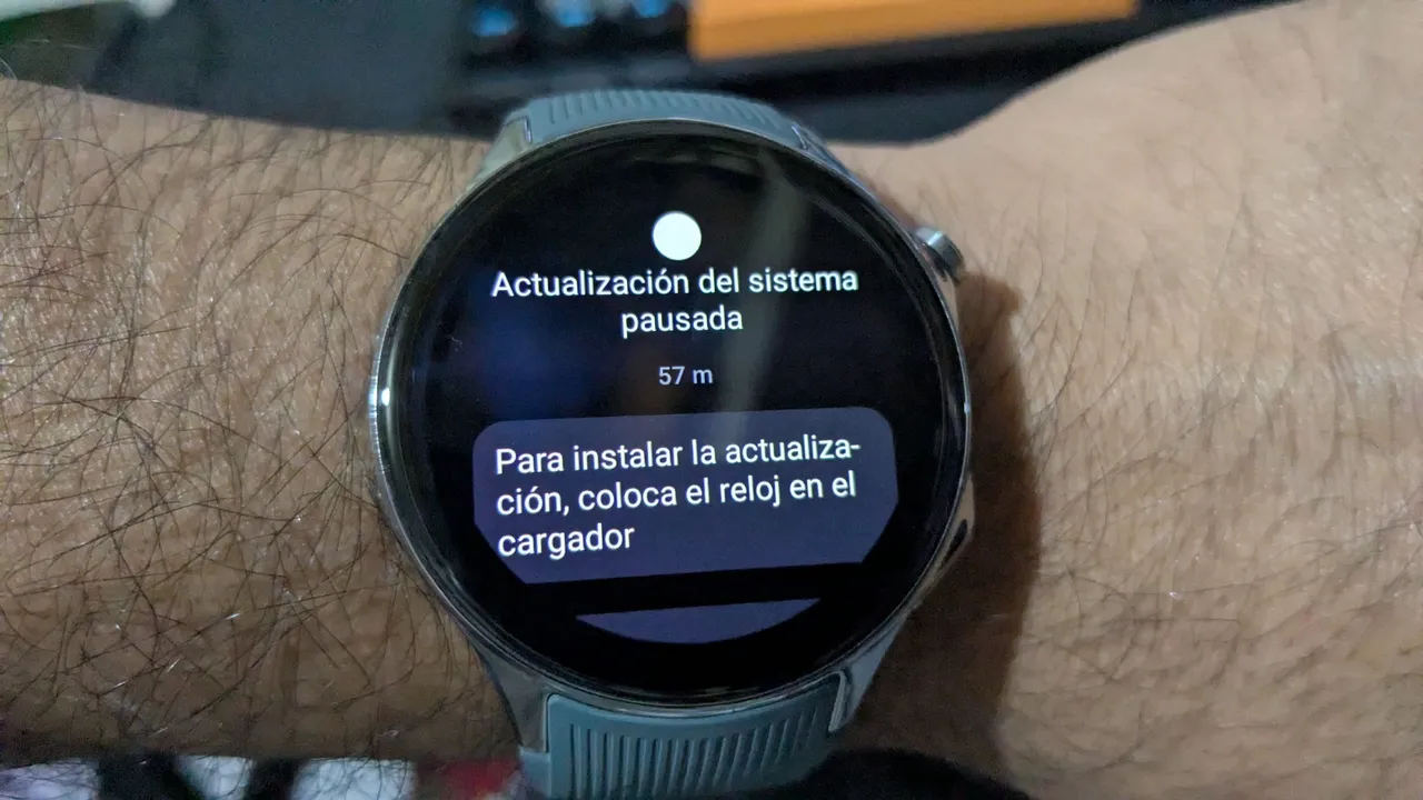PXL_20250721_165737344.jpg