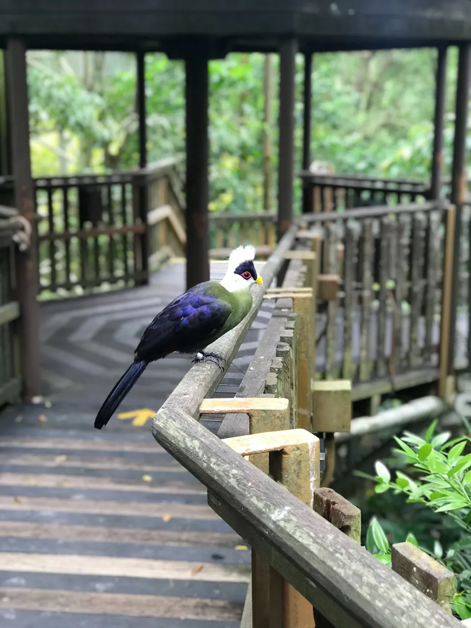 IMG_3048.jpeg