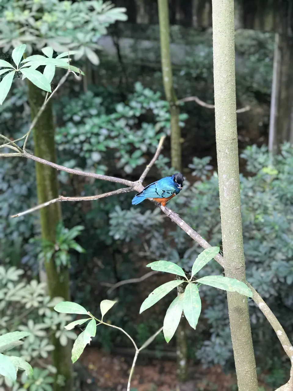 IMG_3055.jpeg