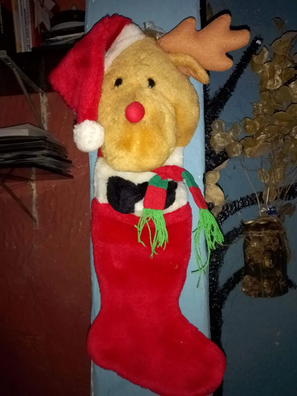 IMG_20211217_112729_877.jpg