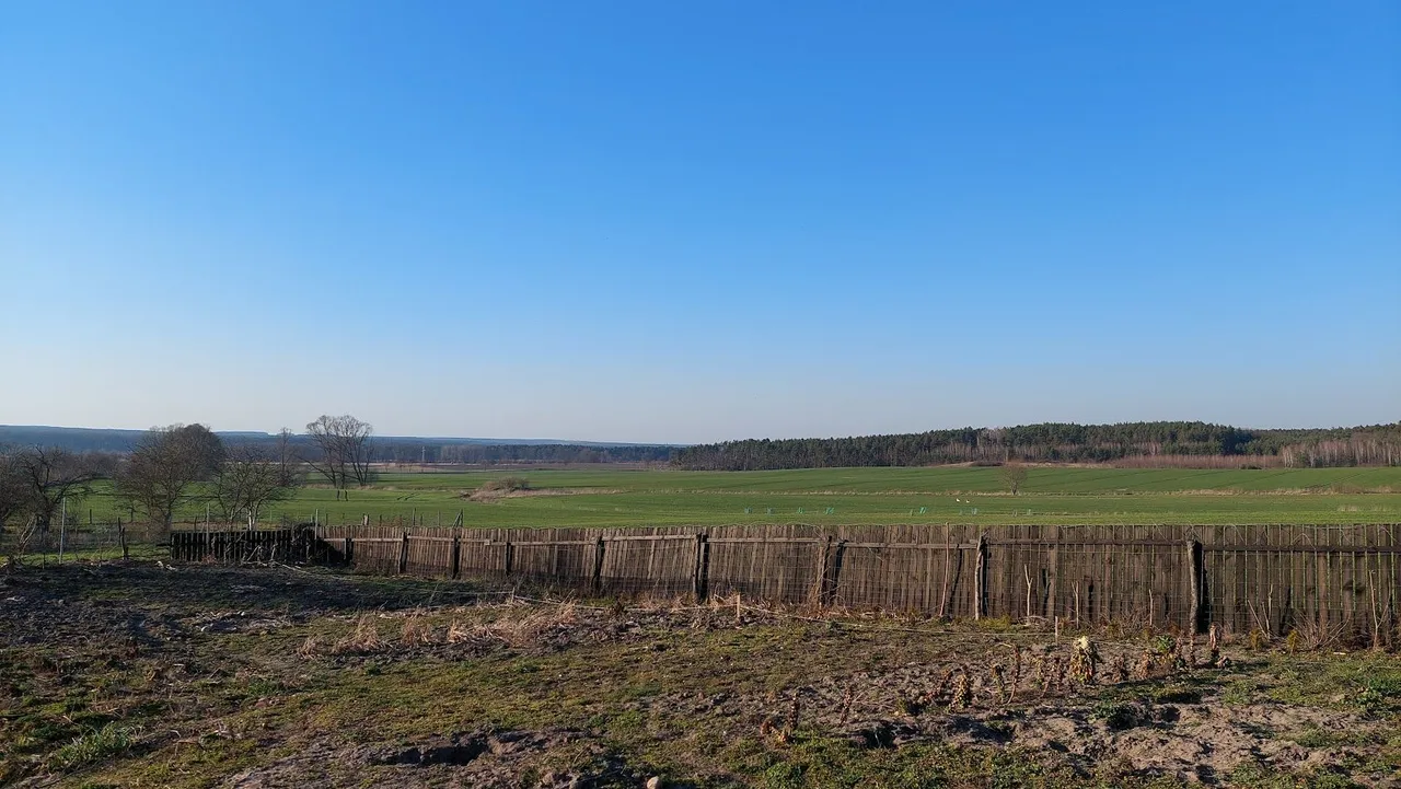 The view "behind the fence"