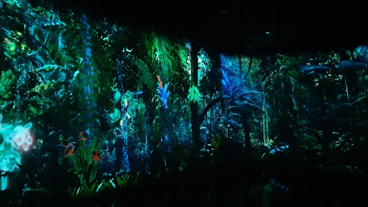 20241202_122110.jpg