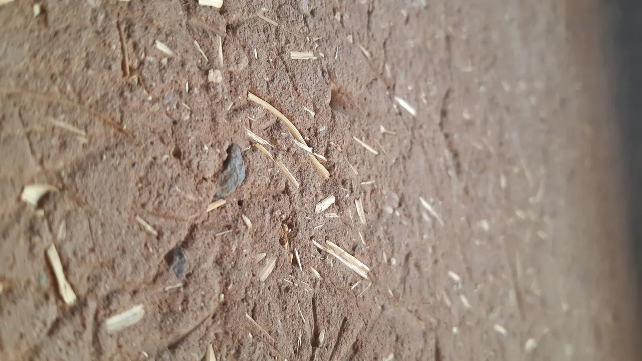 20240717_121849.jpg