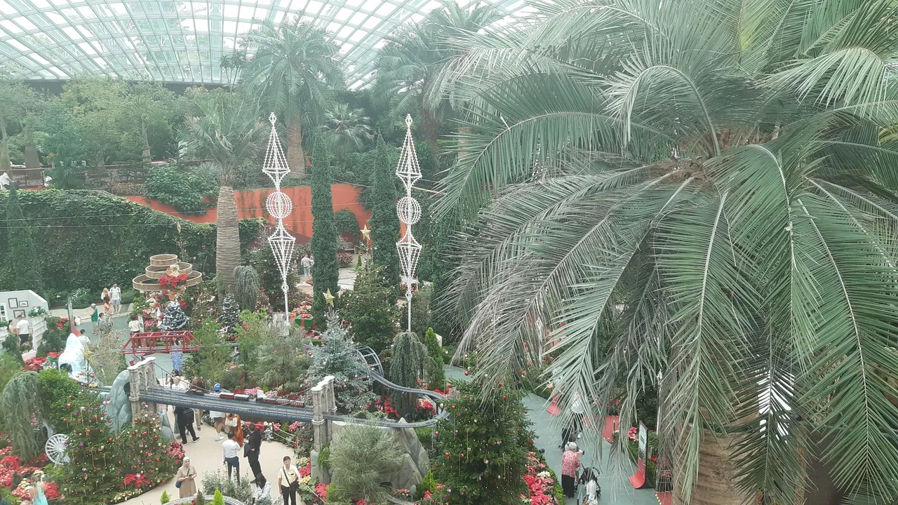 20241202_131234.jpg