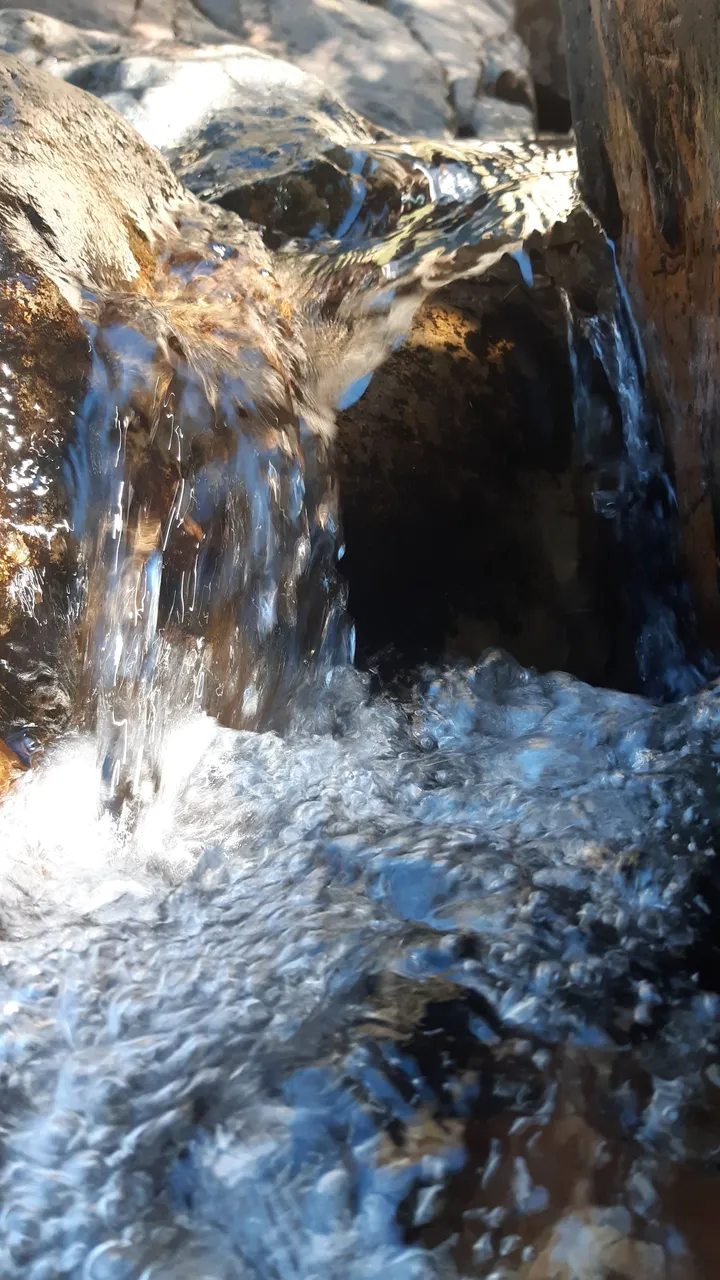 20240929_123830.jpg