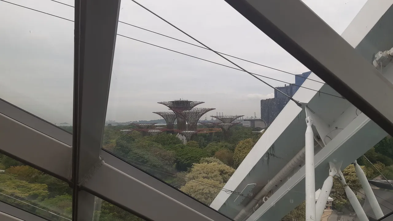 20241202_115035.jpg